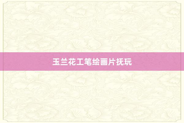 玉兰花工笔绘画片抚玩