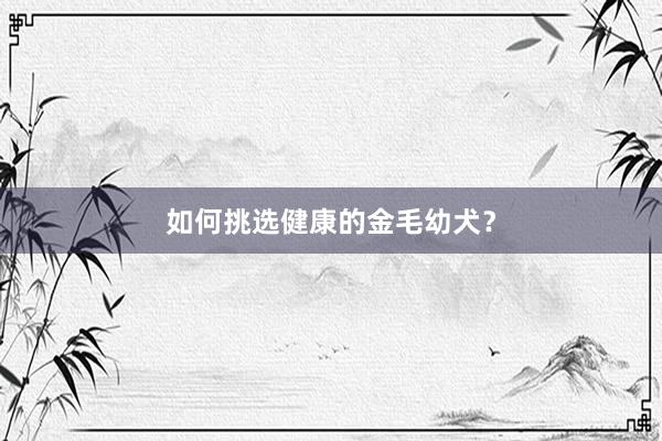 如何挑选健康的金毛幼犬？