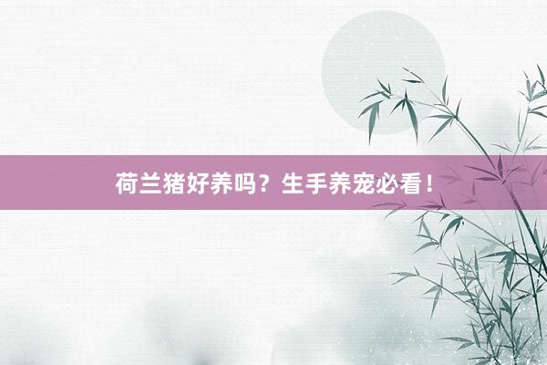 荷兰猪好养吗?生手养宠必看!